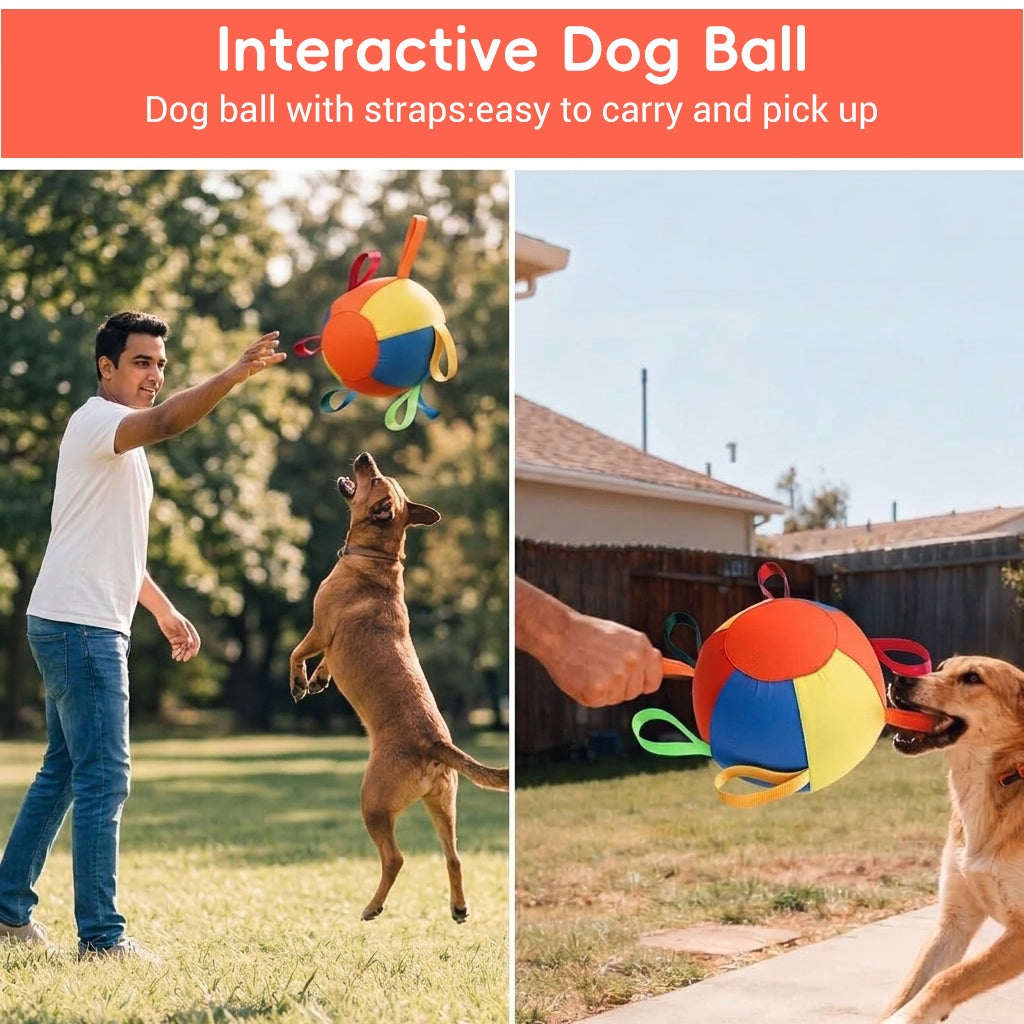 Qpets Herding Ball for Dogs with Multiple Handles and Reinforced Double-Layer Construction