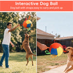 Qpets Herding Ball for Dogs with Multiple Handles and Reinforced Double-Layer Construction
