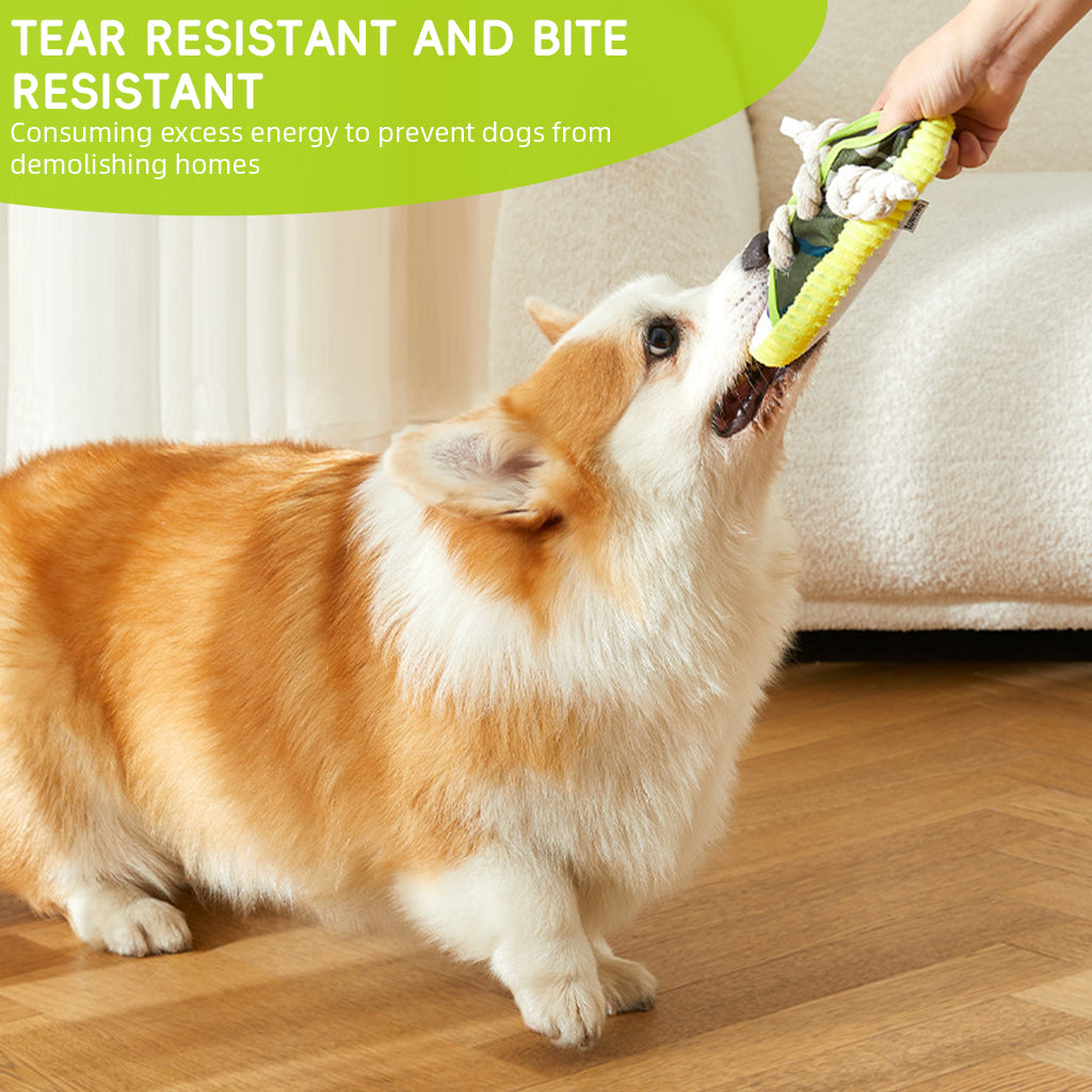 Qpets® Dog Rope Tug Toy, Interactive Chew & Fetch Toy with Thick Cotton Rope for Dental Health, Aggressive Chewer Safe for Training, Exercise and Teeth Cleaning (Shoe Lace Design)