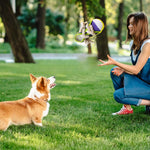 Qpets® Dog Rope Tug Toy, Interactive Chew & Fetch Toy with Thick Cotton Rope for Dental Health, Aggressive Chewer Safe for Training, Exercise and Teeth Cleaning (Shoe Lace Design)