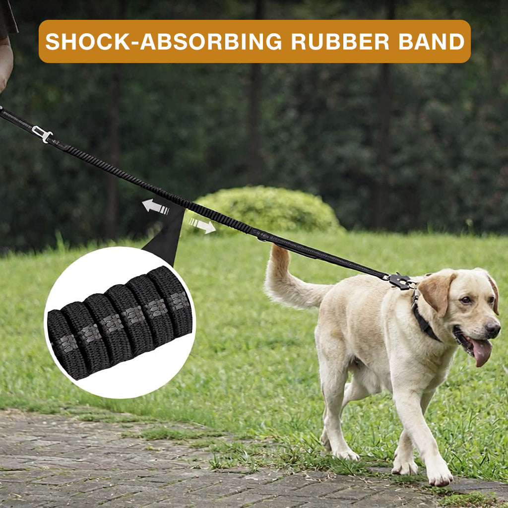 Qpets® Dog Leash, Stretchy Dog Leash with Dual Control Handles, Reflective Stitches Leash with 360 ° Swivel Clasp, Large Breeds Pet Leashes for Walking