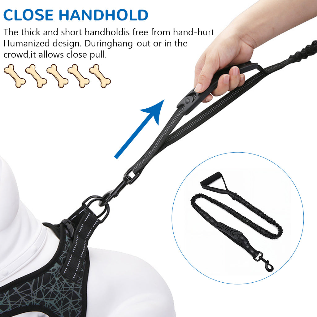 Qpets® No-Pull Dog Leash for Large Breeds - Dual Handle Shock Absorbing Lead Stops Lunging, Saves Your Arms 360° Tangle-Free with Reflective Stitching for Night Safety (Adjustable Size: 110-170cm)