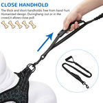 Qpets® No-Pull Dog Leash for Large Breeds - Dual Handle Shock Absorbing Lead Stops Lunging, Saves Your Arms 360° Tangle-Free with Reflective Stitching for Night Safety (Adjustable Size: 110-170cm)