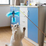 Qpets® Cat Wand Toys, Retractable Interactive Cat Feather Teaser with Realistic Fish, Telescopic Rod Fun Indoor Outdoor for Active Play & Exercise