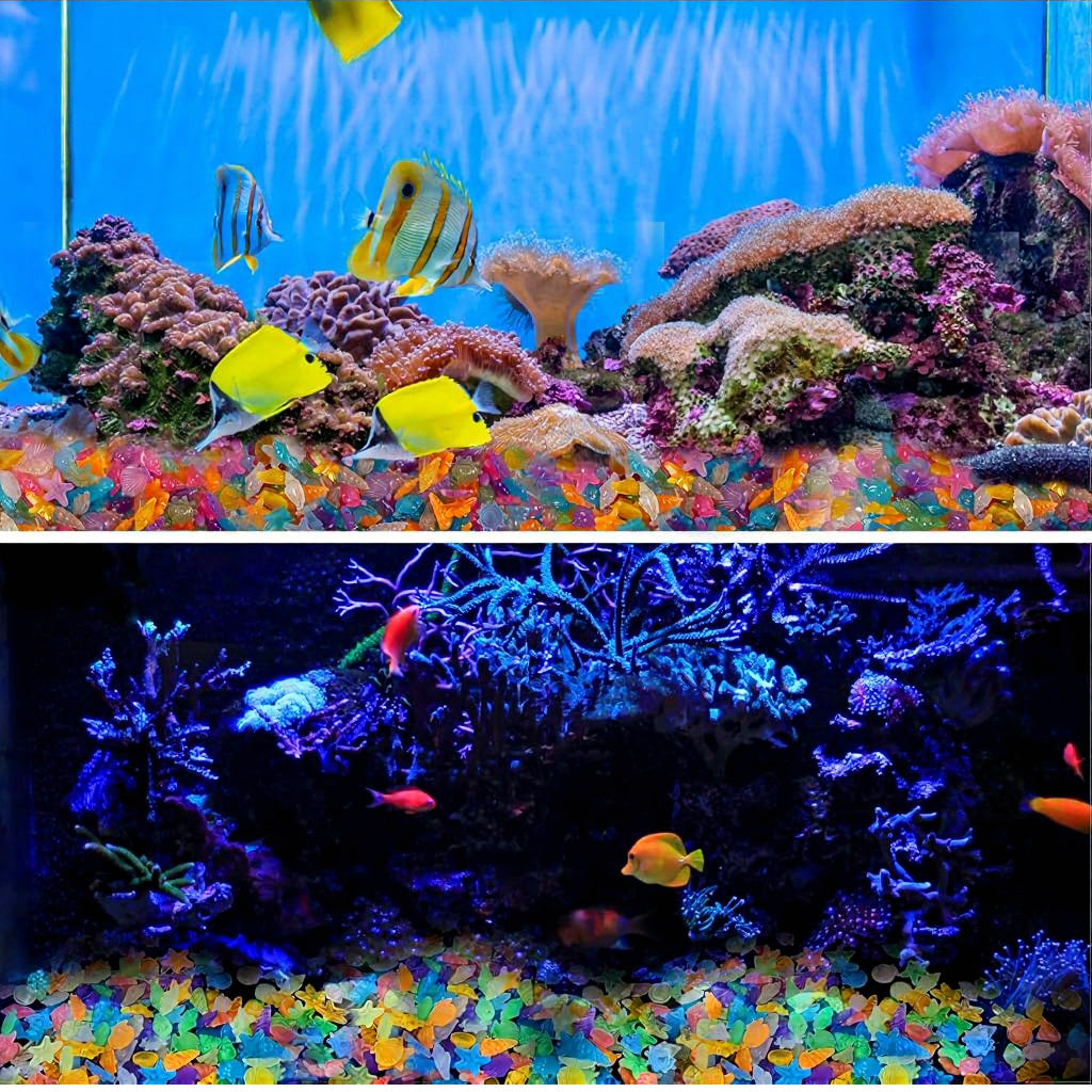 Qpets® Aquarium Mini Resin Ornaments Glow-in-The-Dark Ocean Creature Ornaments, Luminous Aquarium Fish Tank Decorations, Illuminated Resin Decor for Planter and Home Display