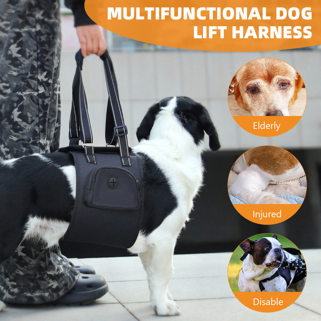 Qpets® Dog Lift Harness Oxford Cloth, Hook and Loop Closure Dog Rear Support Harness Walking Assistant, Built in Zipper Pocket, Breathable Mesh Liner, for Elderly & Disabled Dogs, M
