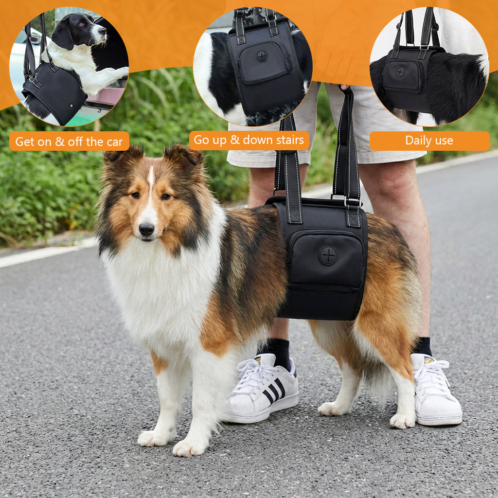 Qpets® Dog Lift Harness Oxford Cloth, Hook and Loop Closure Dog Rear Support Harness Walking Assistant, Built in Zipper Pocket, Breathable Mesh Liner, for Elderly & Disabled Dogs, M