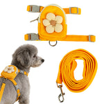 Qpets® Dog Harness and Leash Set, Fabric Webbing Puppy Harness with Matching Leash, Mini Zipper Pouch & Cute Yellow Flower Accent, for 4-10kg Dogs, L