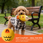 Qpets® Dog Chew Toys, Puppy Teething Toys Squeaky Fish Pet Toy with Braided Rope Tail, Plush Chew Toy for Dogs and Cats, Interactive Tug and Dental Play Tool for Tugging, Teething Cleaning and Chewing