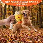 Qpets® Dog Chew Toys, Puppy Teething Toys Squeaky Fish Pet Toy with Braided Rope Tail, Plush Chew Toy for Dogs and Cats, Interactive Tug and Dental Play Tool for Tugging, Teething Cleaning and Chewing