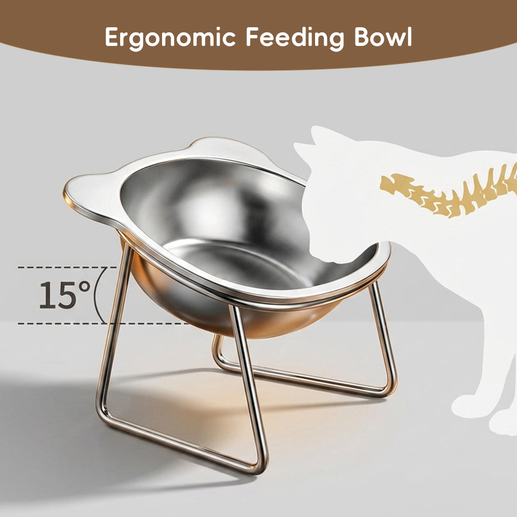 Qpets® Raised Cat Bowl with Stand, SUS304 Stainless Steel Cat and Dog Food Bowl Removable Pet Food and Water Bowl 15 Degree Tilting Angle, Non Slip Pet-Friendly Feeding Bowl for Cats and Small Dogs
