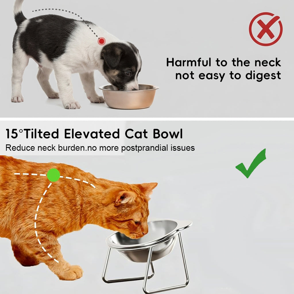 Qpets® Raised Cat Bowl with Stand, SUS304 Stainless Steel Cat and Dog Food Bowl Removable Pet Food and Water Bowl 15 Degree Tilting Angle, Non Slip Pet-Friendly Feeding Bowl for Cats and Small Dogs
