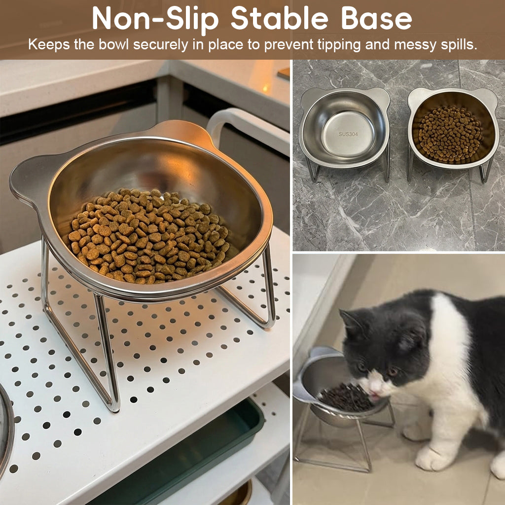 Qpets® Raised Cat Bowl with Stand, SUS304 Stainless Steel Cat and Dog Food Bowl Removable Pet Food and Water Bowl 15 Degree Tilting Angle, Non Slip Pet-Friendly Feeding Bowl for Cats and Small Dogs