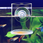 Qpets® Fish Food Feeder, Acrylic Transparent Shrimp Feeding Tube Suction Cup Tank Bowl Small Betta Food Dispenser for Fish Tanks, Shrimp Tanks-Transparent