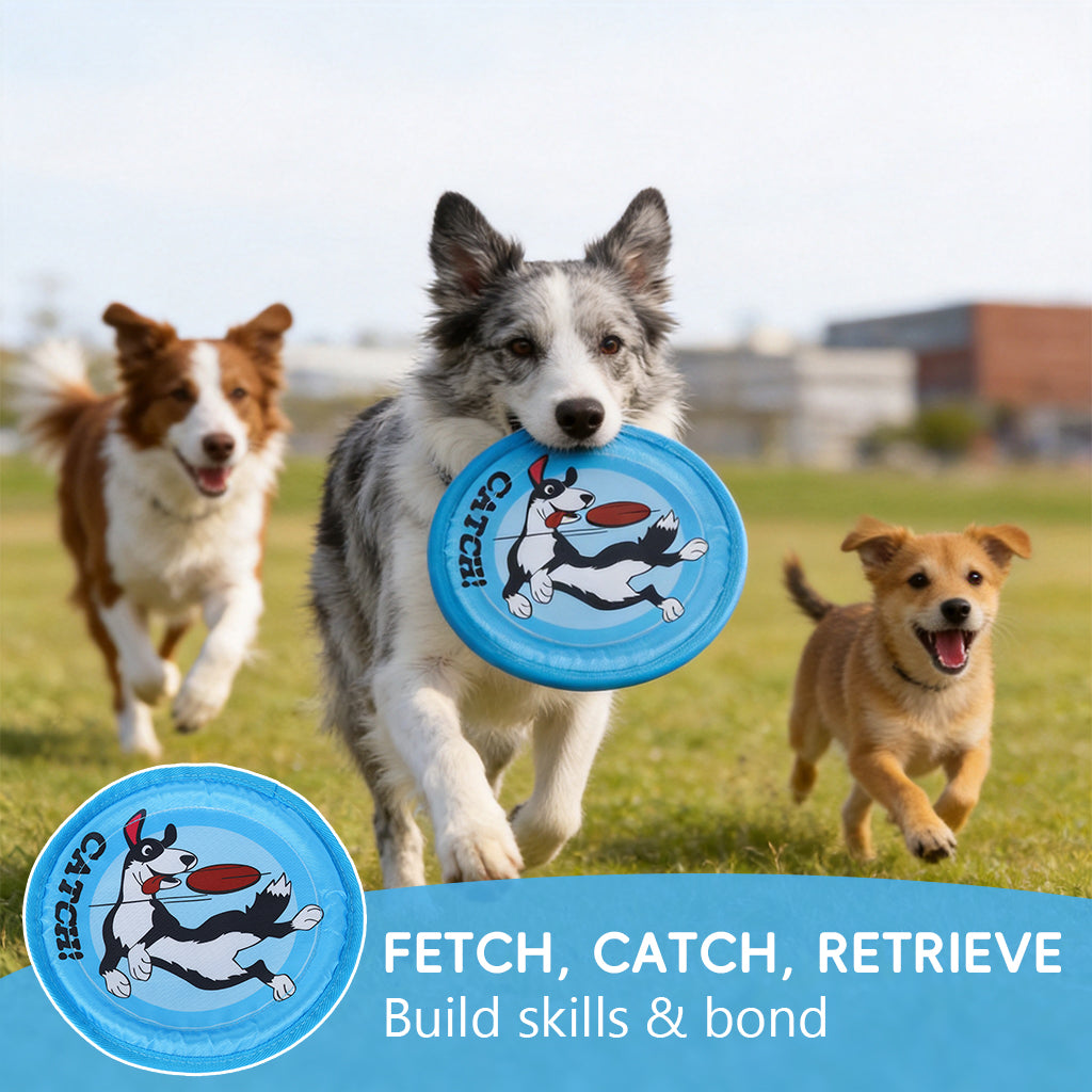Qpets® 8.8" Flying Saucer Dog, Nylon Oxford Cloth Dog Flying Disc Lightweight Dogs Flyer Toys Outdoor Flat Throw Toy Soft Durable Fetch Toy for Small Large Dogs (Blue)