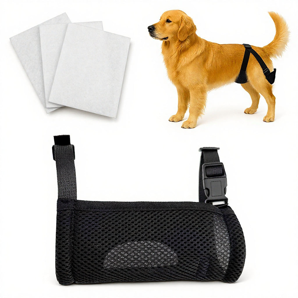 Qpets® Female Dog Diaper Wrap with 3 Pads, Breathable Mesh Dog Diapers for Female Dogs, Tail-Friendly Design, Quick Release Buckle & Adjustable Straps, for Heat Cycle Incontinence Training, Size L