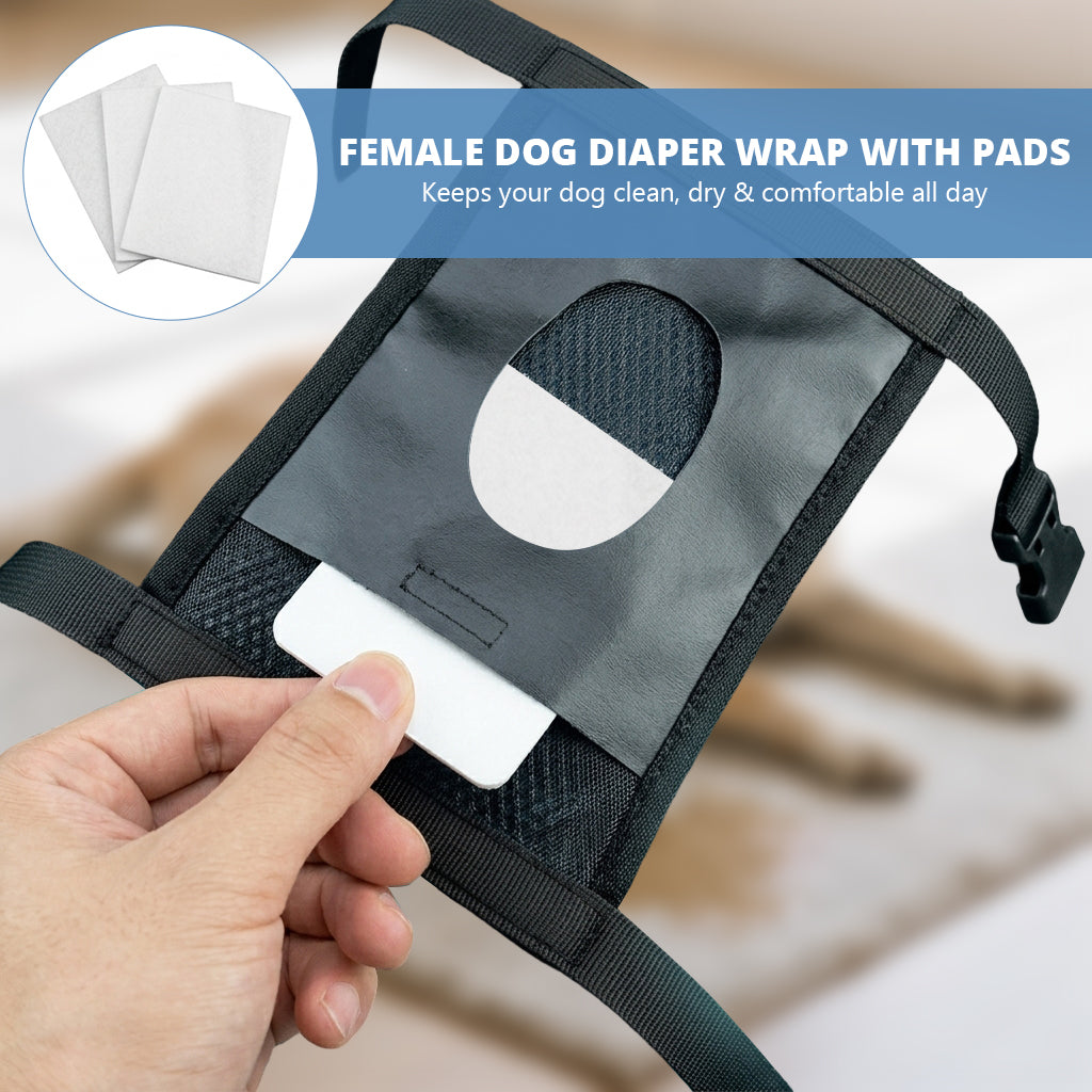 Qpets® Female Dog Diaper Wrap with 3 Pads, Breathable Mesh Female Dogs Diapers Reusable Doggy Diapers Tail-Friendly Design, Quick Release Buckle Adjustable Straps, for Heat Cycle Incontinence Train XL
