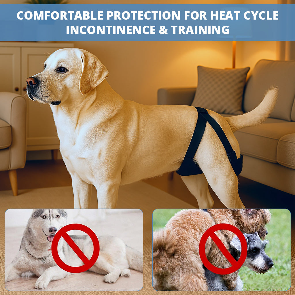 Qpets® Female Dog Diaper Wrap with 3 Pads, Breathable Mesh Female Dogs Diapers Reusable Doggy Diapers Tail-Friendly Design, Quick Release Buckle Adjustable Straps, for Heat Cycle Incontinence Train XL