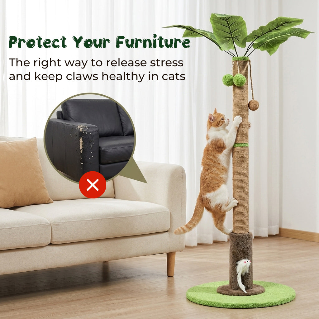 Qpets® Cat Scratching Post for Indoor Cats and Kitten - 35.43" Tall Scratching Post with Sisal Rope, Palm Tree Scratch with Hanging Ball-Brown