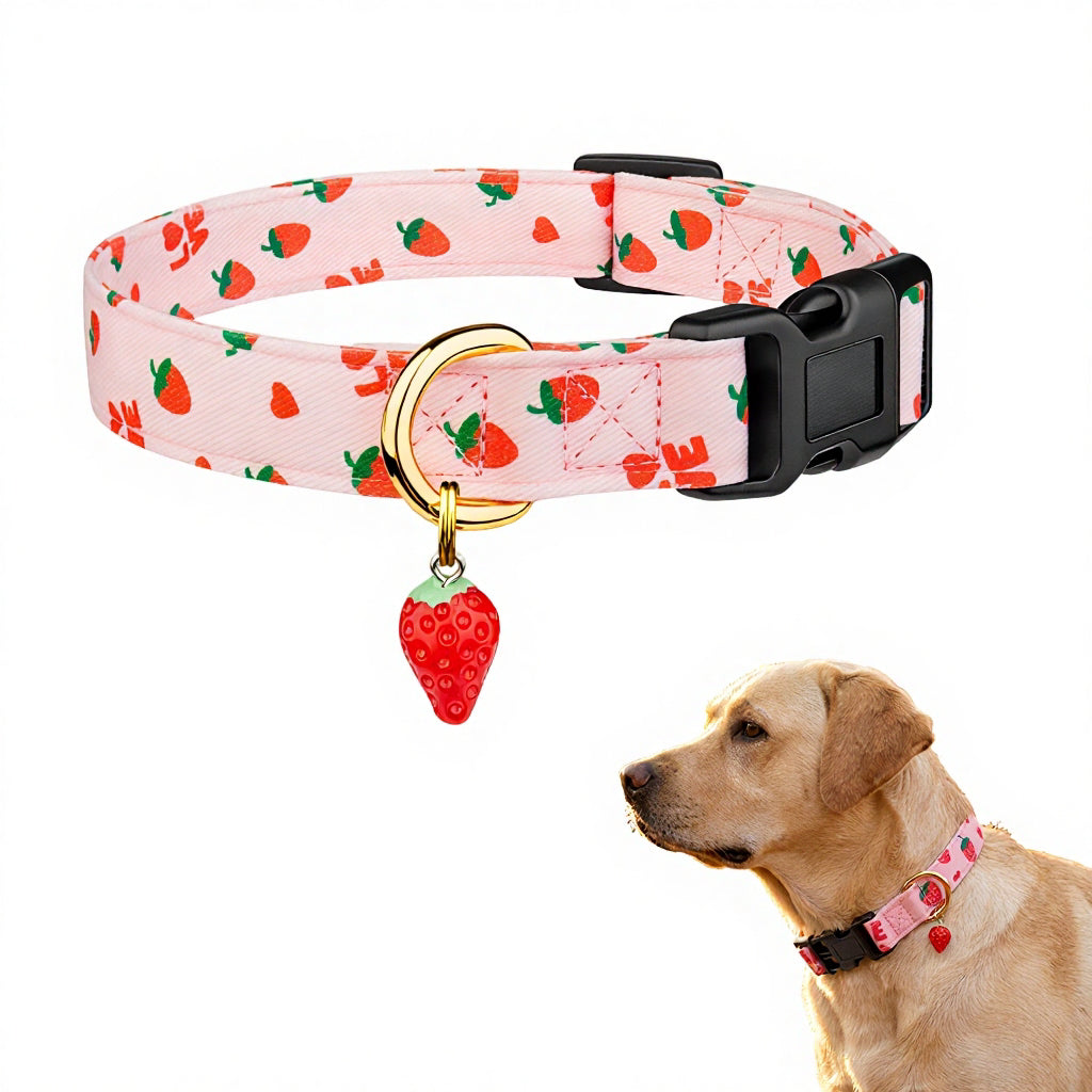 Qpets® Pink Strawberry Dog Collar Sweet Spring Summer Collars with Cute Strawberries Pattern for Female Girl Small Medium Large Dog-Pink-L