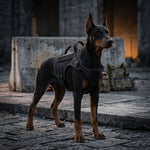 Qpets® Dog Harness with Molle System Adjustable Reflective No Pull Vest for Walking Hiking Training
