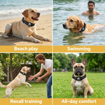 Qpets Reflective AirTag Dog Collar for Medium Dogs with Waterproof Holder, Padding and Dual D Rings