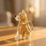 Qpets Dog Fur Keepsake Pendant in Clear Plastic with Secure Metal Ring Clasp for Daily Carry