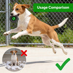Qpets® Football Tire with Built in Squeaker Bite Resistant Vinyl Chew Play Item for Small and Medium Dogs Interactive Fetch and Teething Play