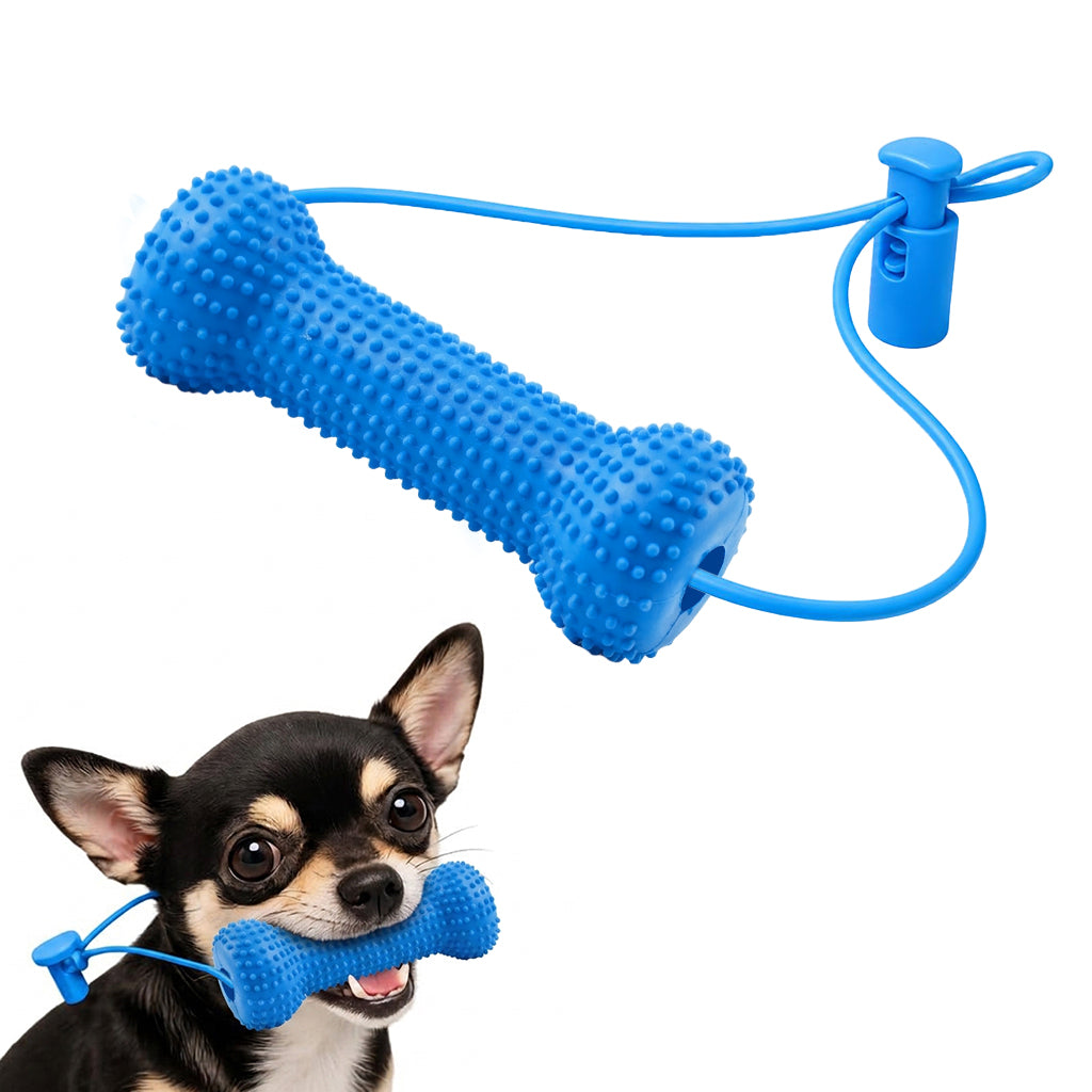 Qpets Dog Dental Chew Prop for Small and Medium Dogs, TPR Aid for Guided Brushing