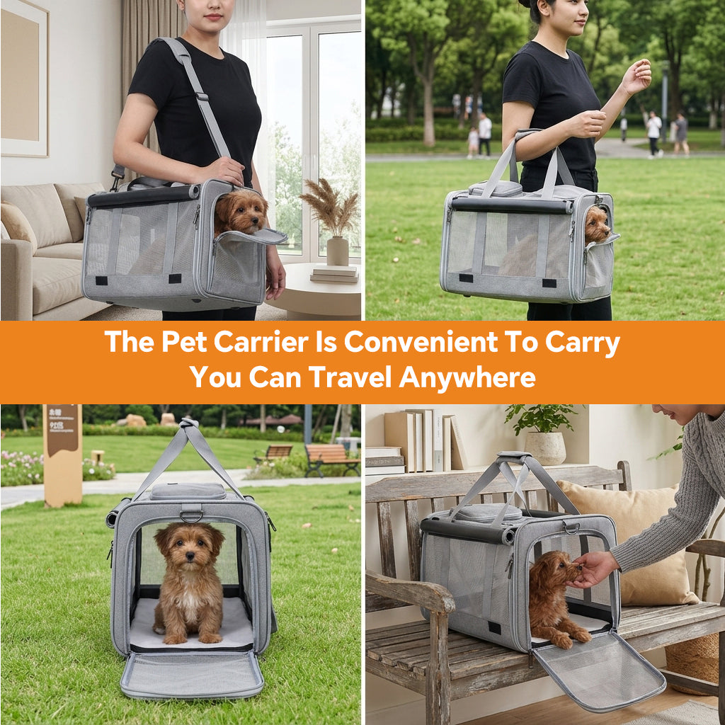Qpets Cat and Small Dog Carrier Bag with Five-Side Mesh, Foldable Storage and Adjustable Strap