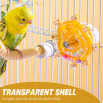 Qpets Bird Foraging Spin Wheel with Smooth Rotation for Parakeets, Cockatiels and Conures