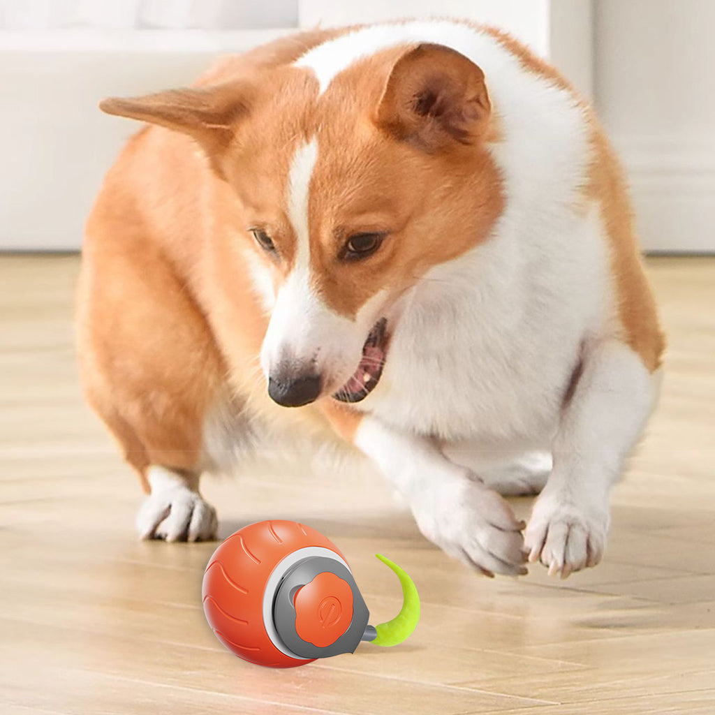 Qpets® Smart Cat Toy Ball, Electric Self Roller Ball Cat Toywith Rat Tail, Fun Cat Speedy Ball Toy with 2 Modes Cordless Chasing Ball Toy Food Grade Silicone Cat Toy Teasing Ball - USB Rechargeable