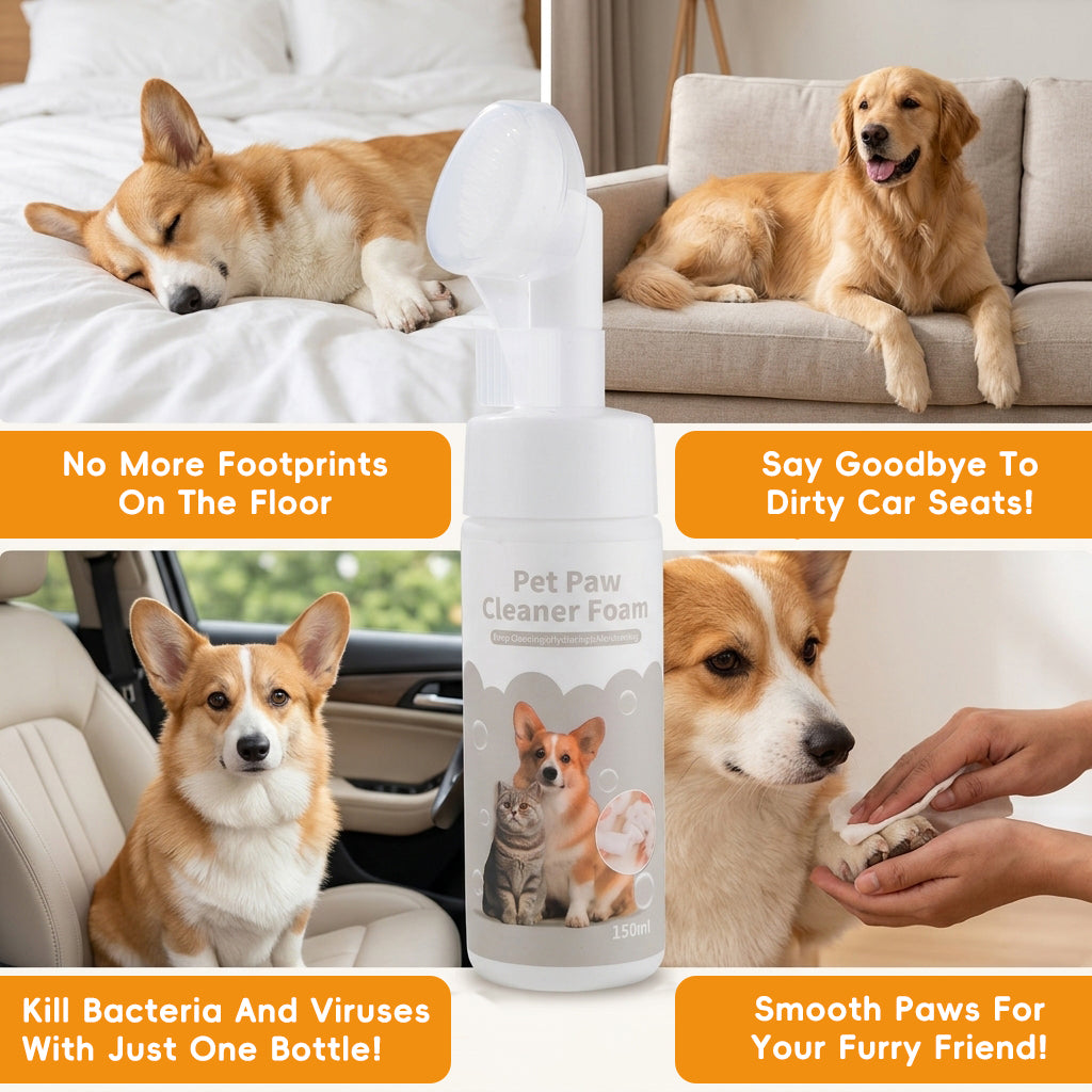 Qpets Dog Paw Cleaner Foam with Silicone Brush | No Rinse Pet Paw Cleanser for Dogs & Cats
