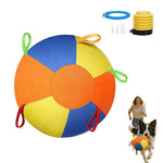 Qpets Herding Ball for Dogs with Multiple Handles and Reinforced Double-Layer Construction