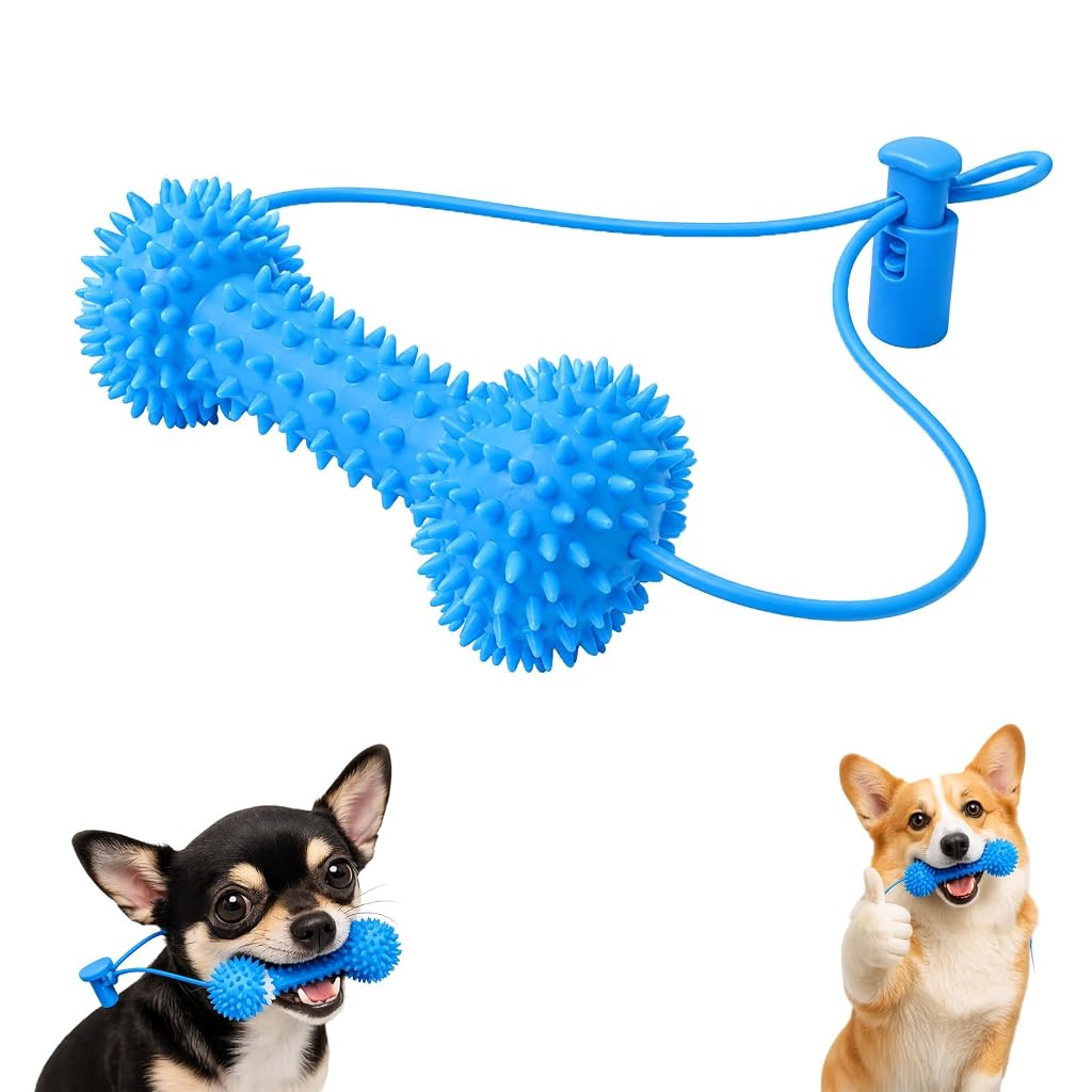 Qpets Dog Dental Chew Prop for Small and Medium Dogs, TPR Aid for Guided Brushing
