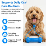 Qpets Dog Dental Chew Prop for Small and Medium Dogs, TPR Aid for Guided Brushing