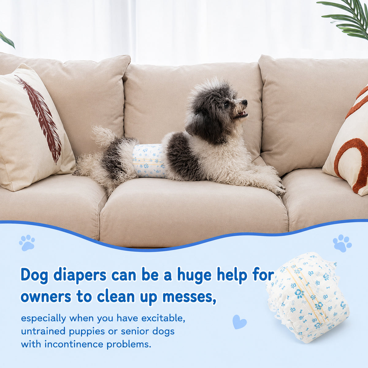 Qpets Male Dog Diaper Wraps, 12 Pack, Absorbent, Breathable Leak Protection, Size L