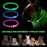 Dog Collar LED Optical Fiber Collar Flashing Collar for Dog USB Charging Cuttable Length Ensuring Safety for Night Walking (Blue Light)