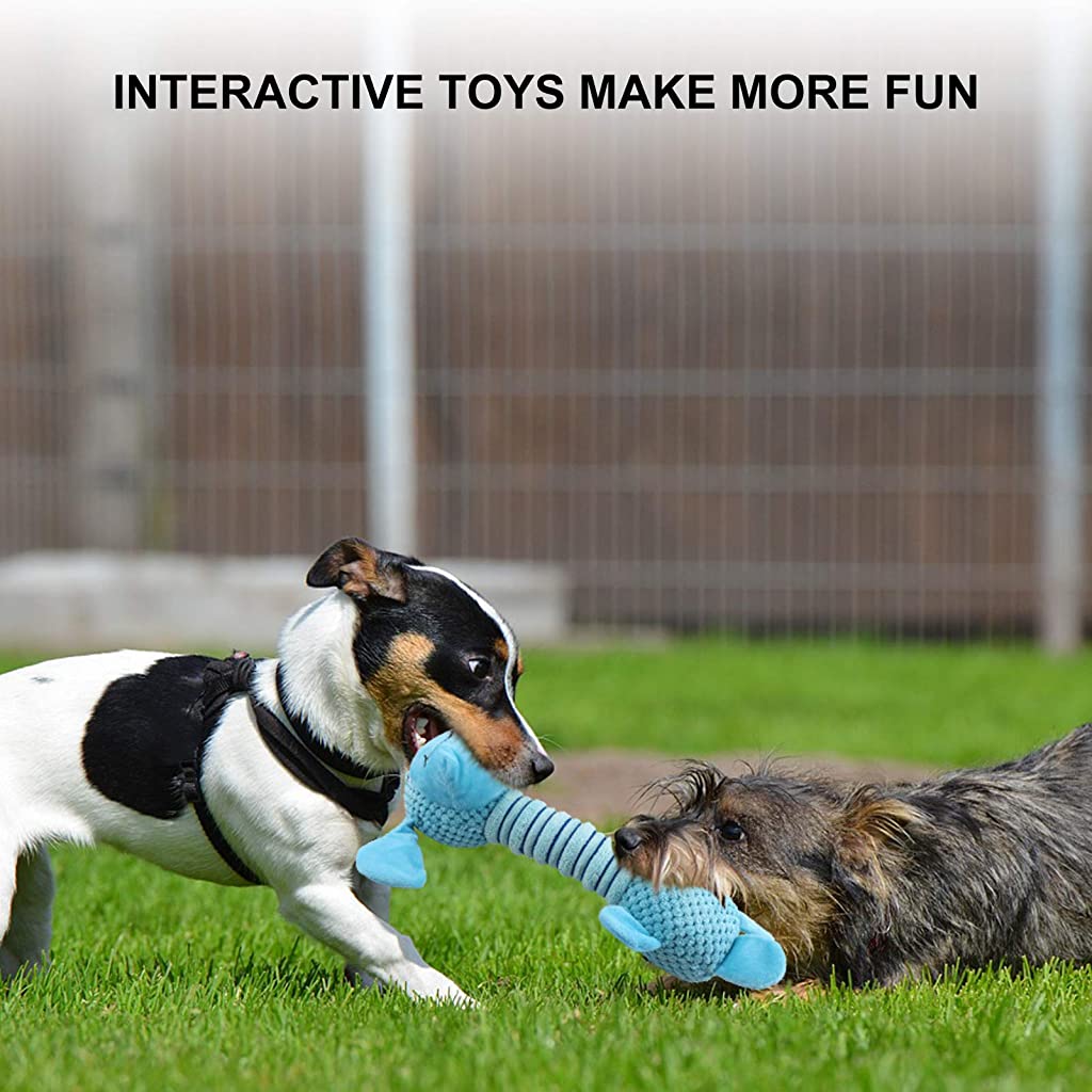 Durable interactive dog clearance toys