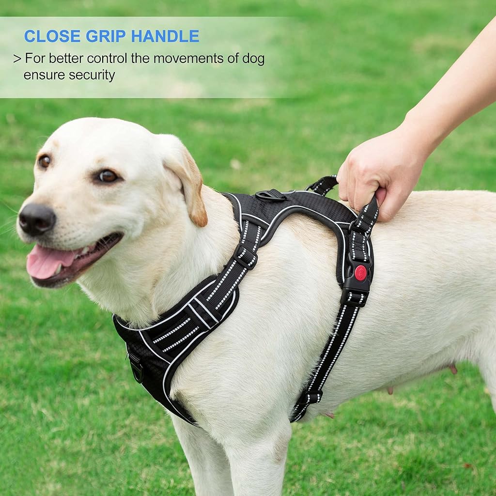 Dog Vest Dog Harness for Large Dog with 1.5m Dog Leash Dog Harness with Pulls Handle for Guide Dog, Large Dog, Adjustable Dog Vest Harness with Quick Release Buckle (Suitable 18-33kg)