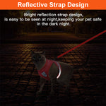 Cat Vest Harness with 1.2m Dog Leash Adjustable Size Dog Vest Harness Breathable Mesh Fabric with Safety Reflective Strip Dog Harness for Cat(S, red)