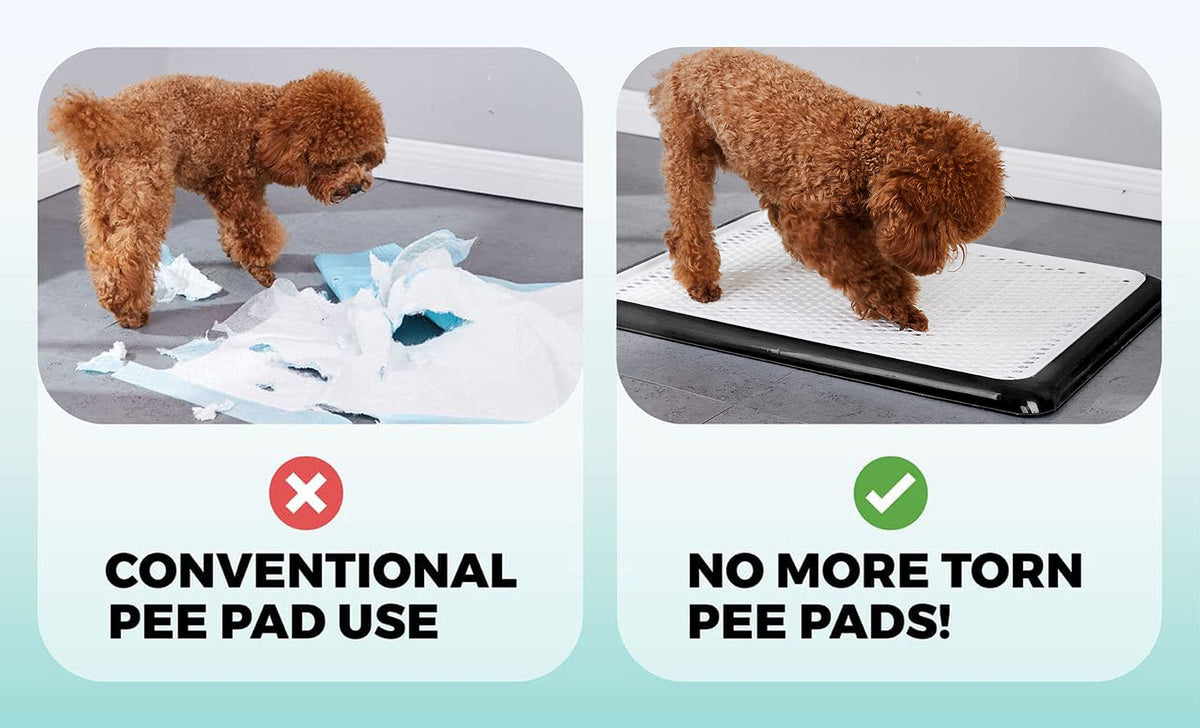 Dog Potty Tray, Puppy Pee Pad Holder, 25.6x18.9inch Plastic Dog Pet Potty Indoor Training Toilet for Small and Medium Dogs, Keep Paws Dry and Floor Clean