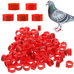 100 Pcs Bird Leg Rings-Numbered, Bird Identification Word Shaped Foot ringsLeg Bands Poultry, Leg Bands Clip on Leg Rings for Bantam Finch Dove Pigeons Lovebird Coturnix Quail