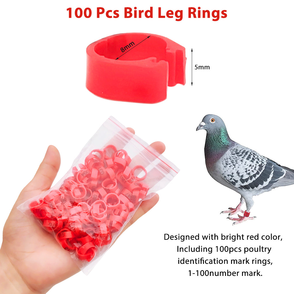 100 Pcs Bird Leg Rings-Numbered, Bird Identification Word Shaped Foot ringsLeg Bands Poultry, Leg Bands Clip on Leg Rings for Bantam Finch Dove Pigeons Lovebird Coturnix Quail