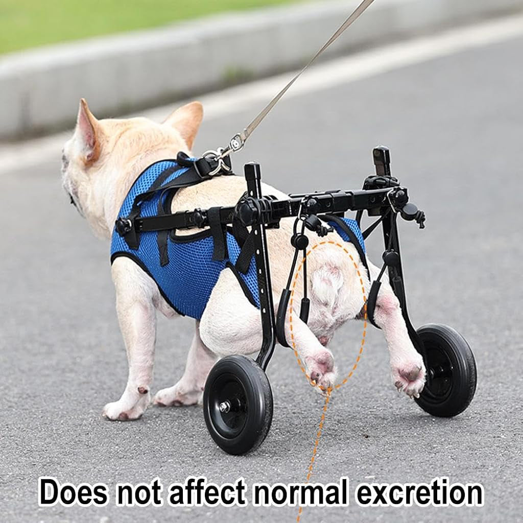 Small Dog Wheel-Chair for Back Legs, Walking Assistance for Disabled Dog, Wheel Chair Hind Limb Hind Back Leg Disabled Dog Mobility Aid Trolley Legs Rehabilitation Light Pet Walk Assistance