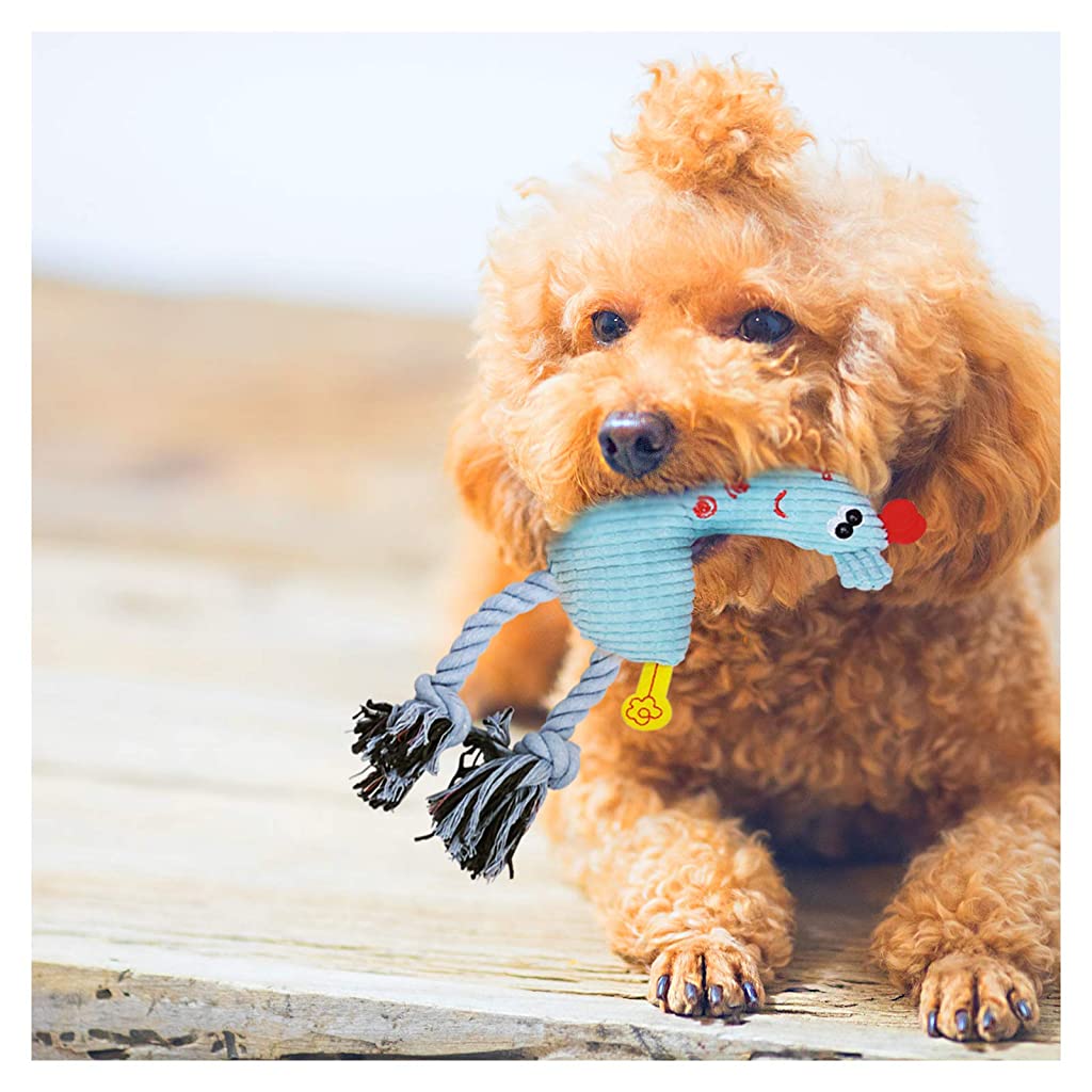 Fetch toys sale for small dogs