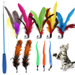 Qpets Cat Toys - Interactive 11 Piece Cat Toy Set with Retractable Teaser Wands and Feather Worm Toys - Kitten Toys Variety of Vibrant Colours - Activity Toys to Exercise Cats and Kittens